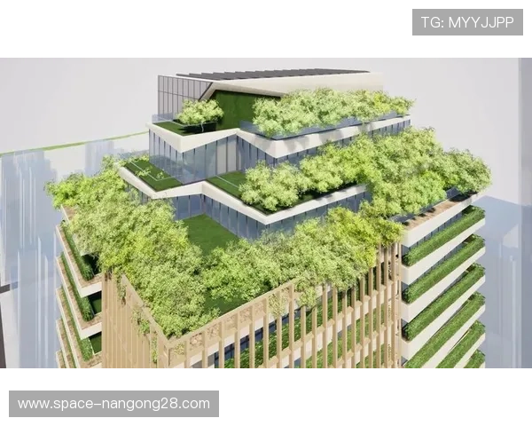 绿色科技与智能管理正重塑大型体育场馆的运营模式。